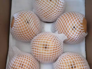 ˮ